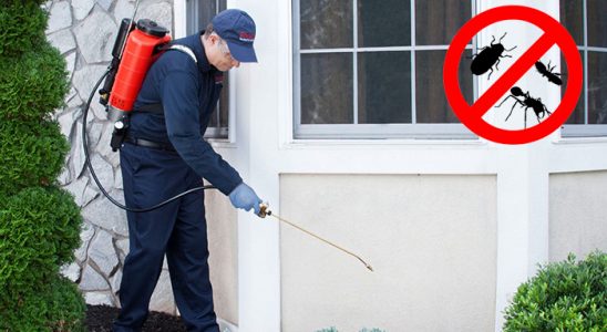 Kestel Hamam Böceği İlaçlama böcek ilaçlama ve haşere kontrolü — ilaclama-tr.com
